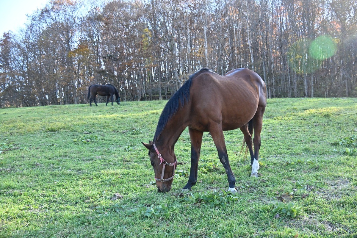 5ae225b63e7632f400f4fb00735deab3-1763522550.jpg 5ae225b63e7632f400f4fb00735deab3-1763522550.jpg